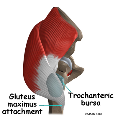 Physical Therapy in Northern Virginia for Trochanteric Bursitis of the Hip