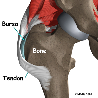 Bursitis of the Hip Arlington VA