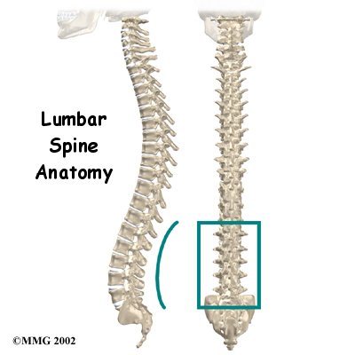 Dynamics Physical Therapy Lower Back Pain