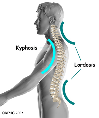 Dynamics Physical Therapy Lower Back Pain